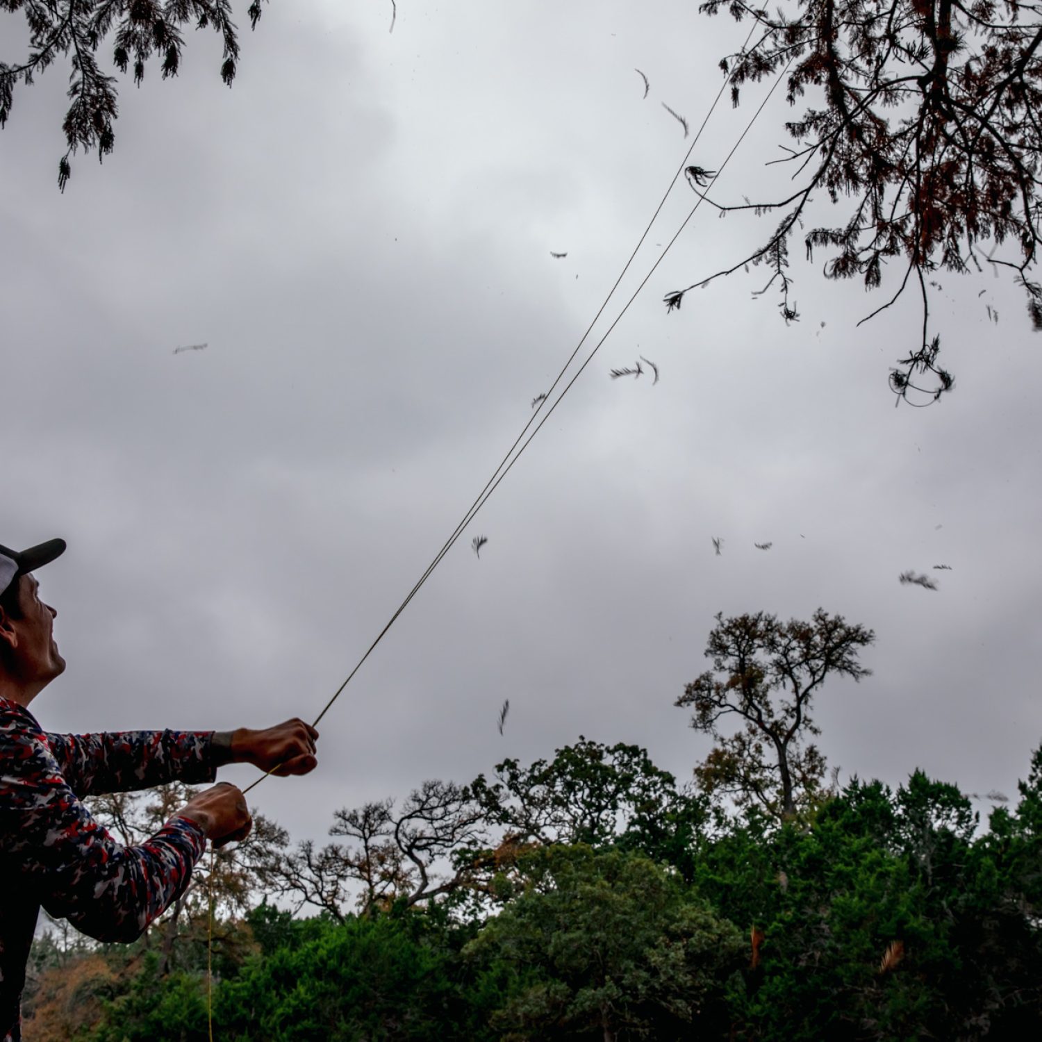 049-TREES-Seed-Collecting-November-2025
