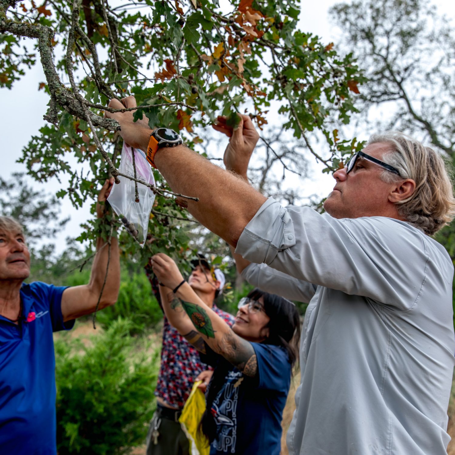 059-TREES-Seed-Collecting-November-2025