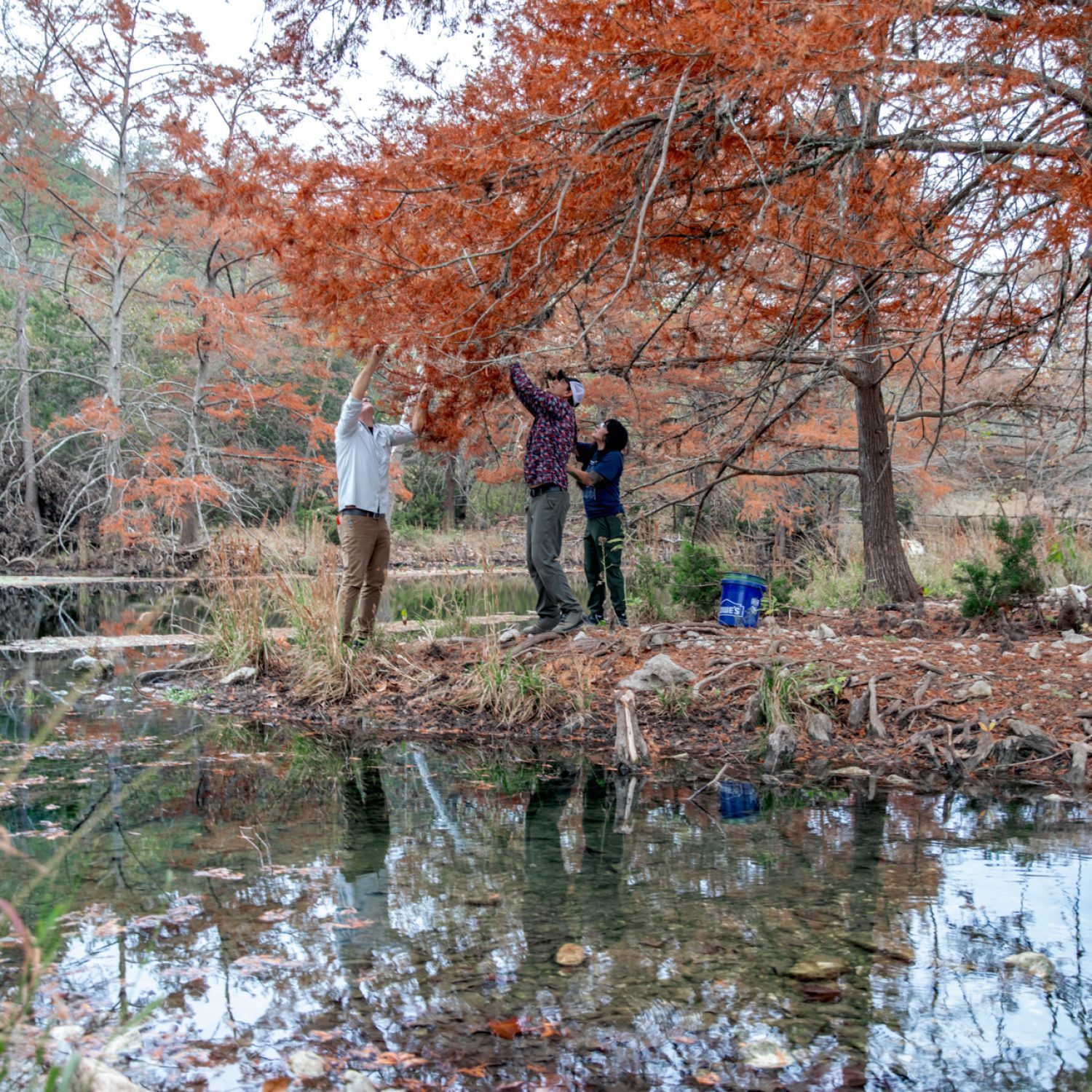083-TREES-Seed-Collecting-November-2025
