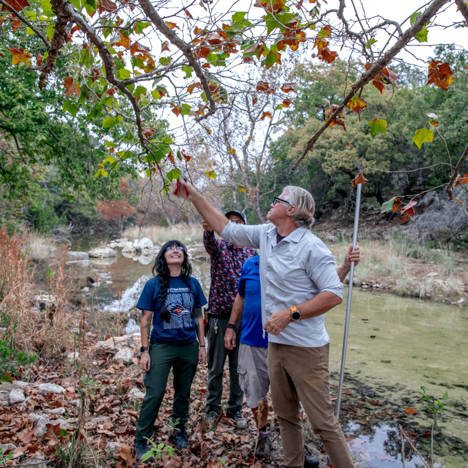 133-TREES-Seed-Collecting-November-2025