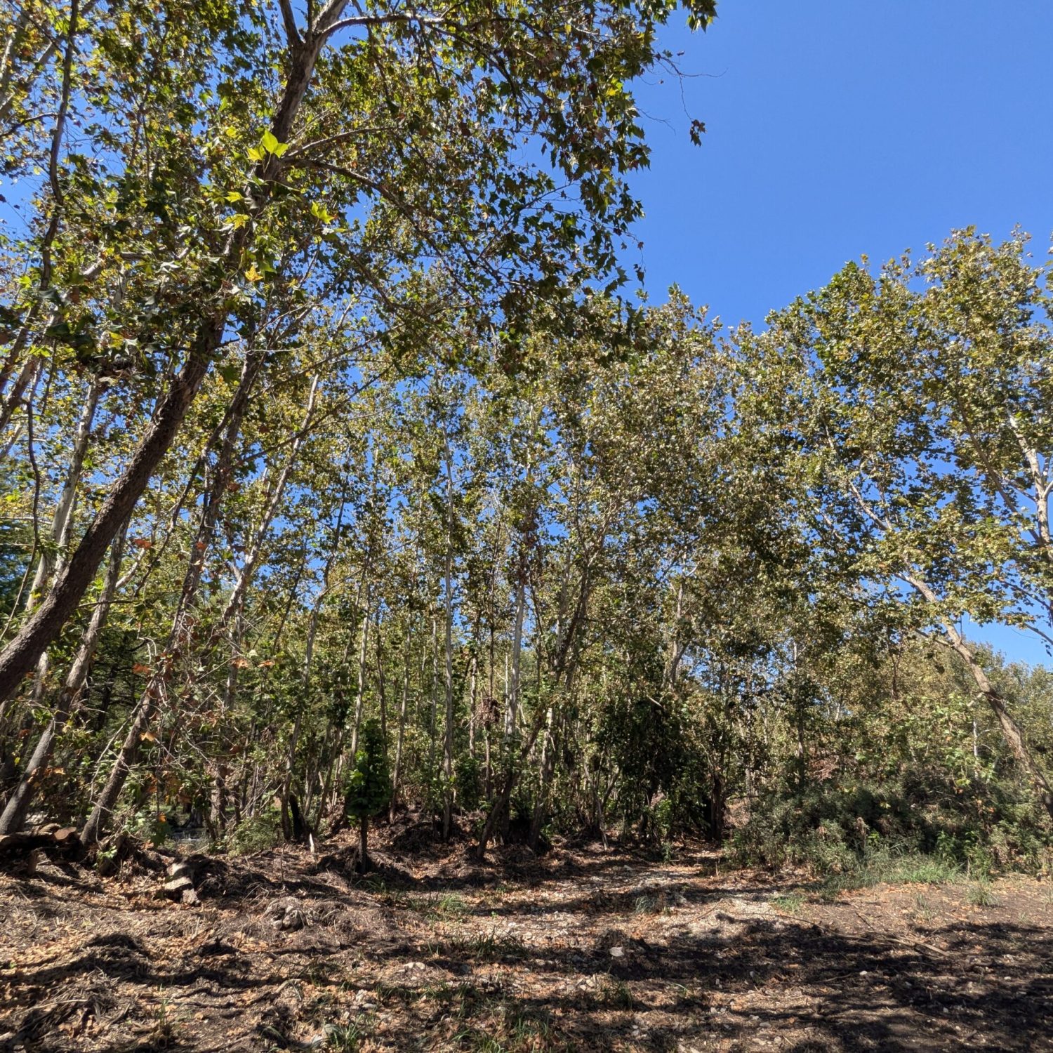 PXL_20250902_165628102RAW-01COVER