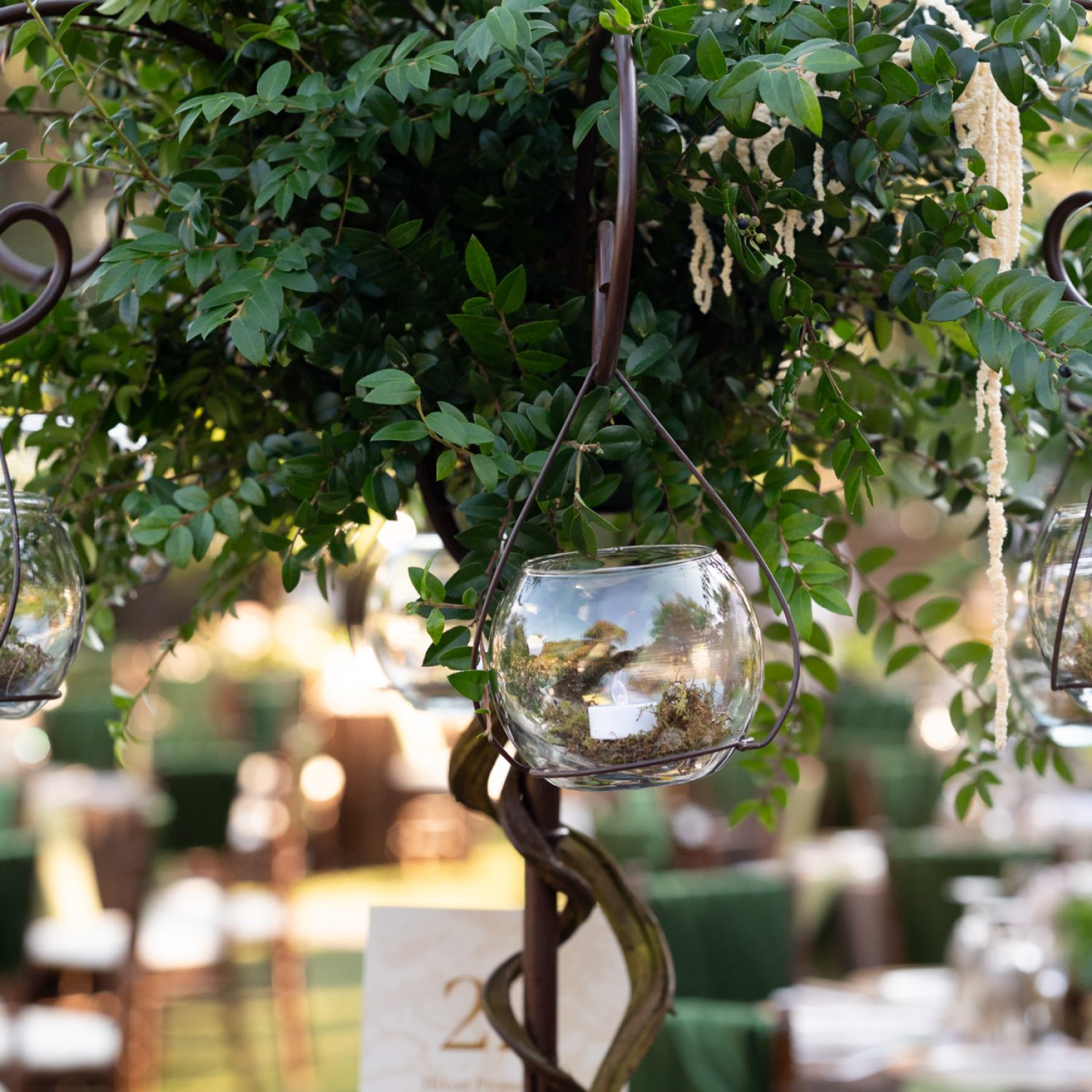 Splendor in the Garden 2025